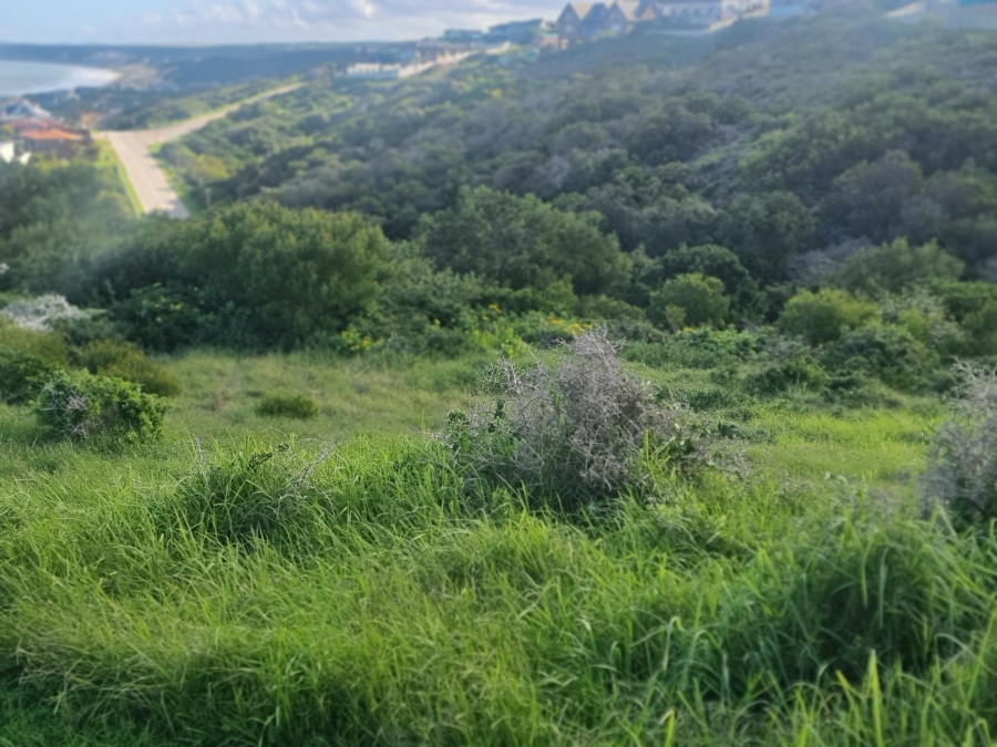 0 Bedroom Property for Sale in Dana Bay Western Cape